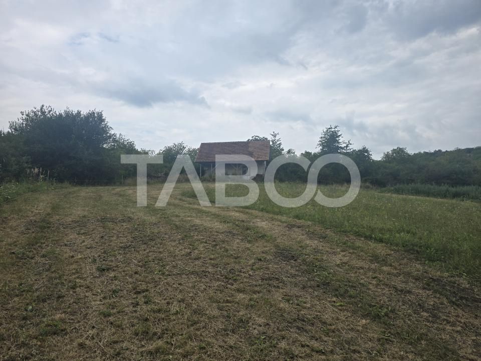 Teren de vanzare 8700 mp cu un front de 30m in Sura Mare – fotografia 1 din 8