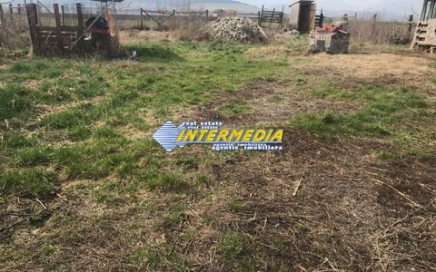 Teren intravilan de vanzare suprafata 500 mp