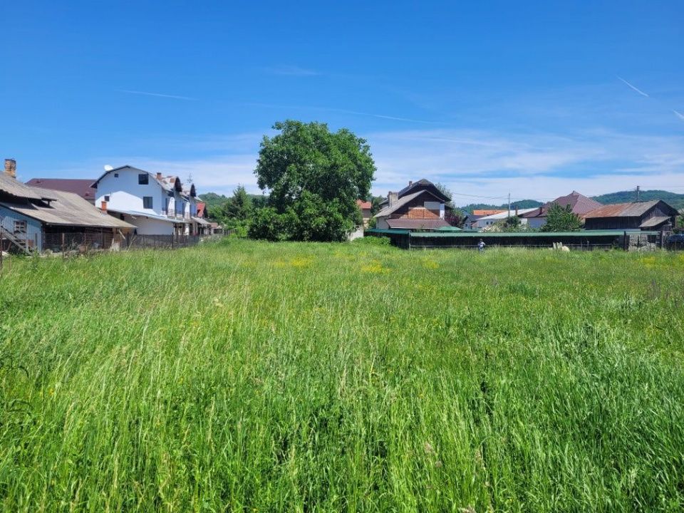 Teren intravilan Domnești, Central lângă Liceu, pe malul Râului – fotografia 5 din 7