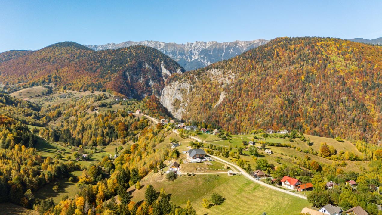 Casa Galbenă din Măgura – Un loc în care timpul curge altfel – fotografia 9 din 40