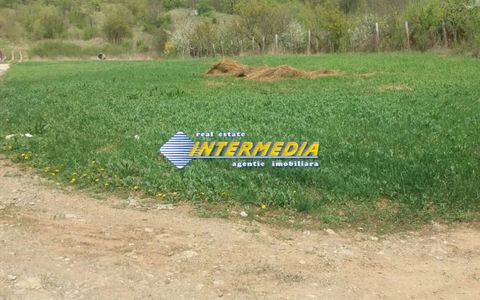 De la 500 mp. Teren Intravilan de vanzare zona Valea Popii
