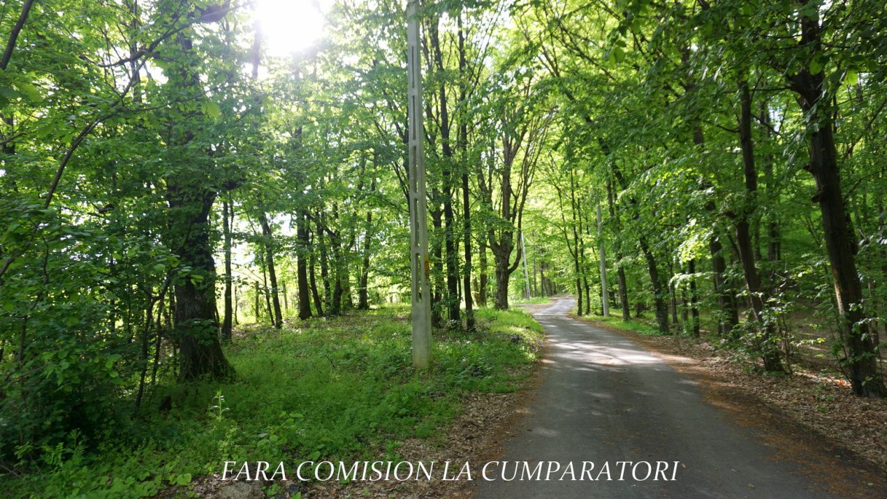ZONA SUPERBA - TERENURI DE VANZARE – fotografia 12 din 27