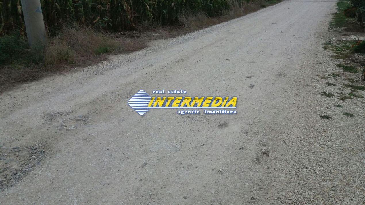 Teren Intravilan 11.150 mp deschidere 38 m. PUZ aprobat P+3 toate utilitatile – fotografia 1 din 4