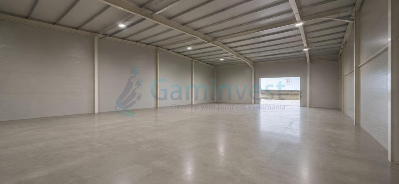 Hala de vanzare langa Oradea cu deschidere la E60 – fotografia 7 din 9