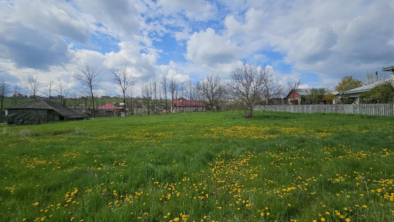 Teren 2600 intravilan mp, rond Vânători preț negociabil! – fotografia 3 din 4