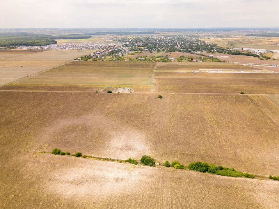 DASCALU – TEREN INTRAVILAN 11300 MP, INVESTITIE! – fotografia 11 din 18