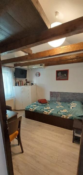 Garsoniera de inchiriat | Victoriei | Centrala | Pet-friendly – fotografia 3 din 5