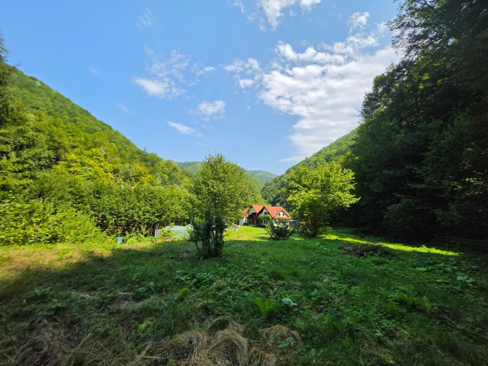🏡 PROPRIETATE EXTRAORDINARĂ– LOTRIOARA, JUDEȚUL SIBIU! 🌲 – fotografia 64 din 72