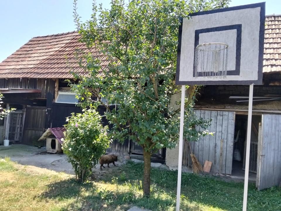 Casă 60 mp utili, teren 1.400 mp | Borșa (Răscruci), Cluj – fotografia 4 din 16