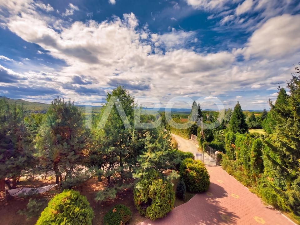 Casa individuala in Faget de inchiriat curte amenajata teren generos – fotografia 3 din 18