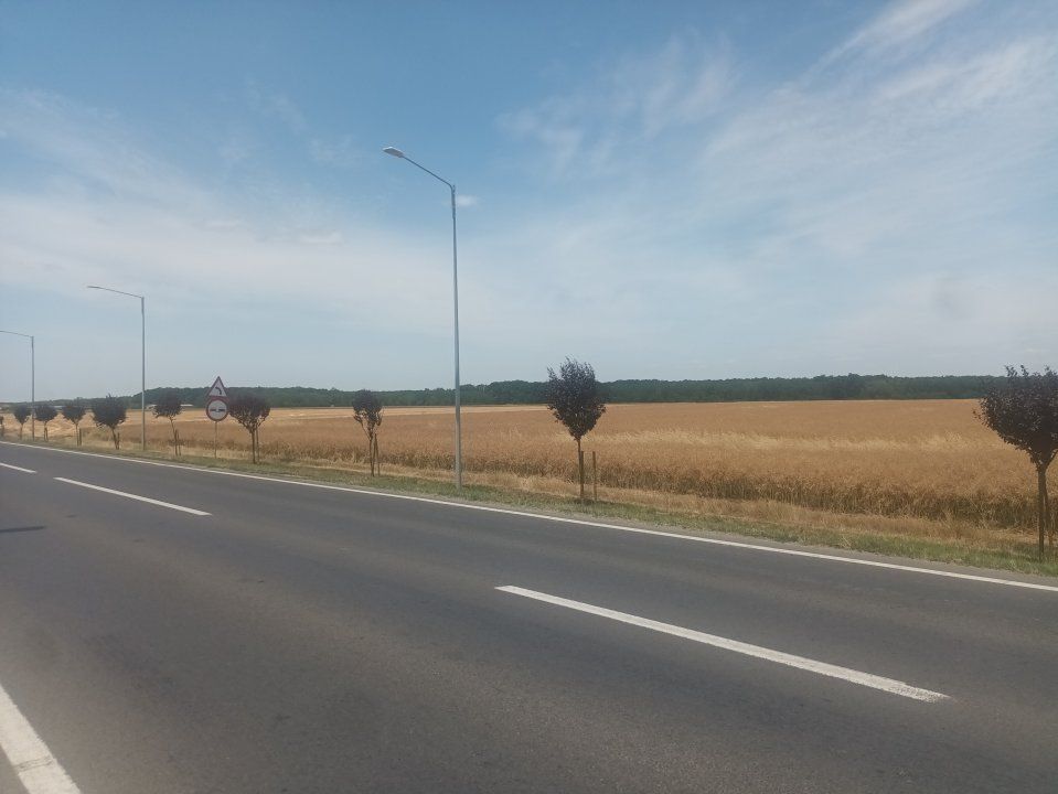 Teren Vanzare Intravilan Branesti investitie Zona Industriala Makita – fotografia 23 din 35