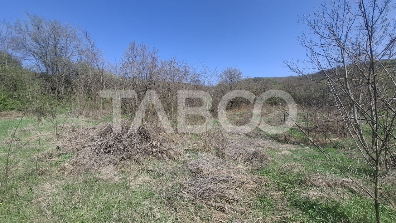 Teren de vanzare 1450 mp intravilan Slimnic Sibiu – fotografia 2 din 3