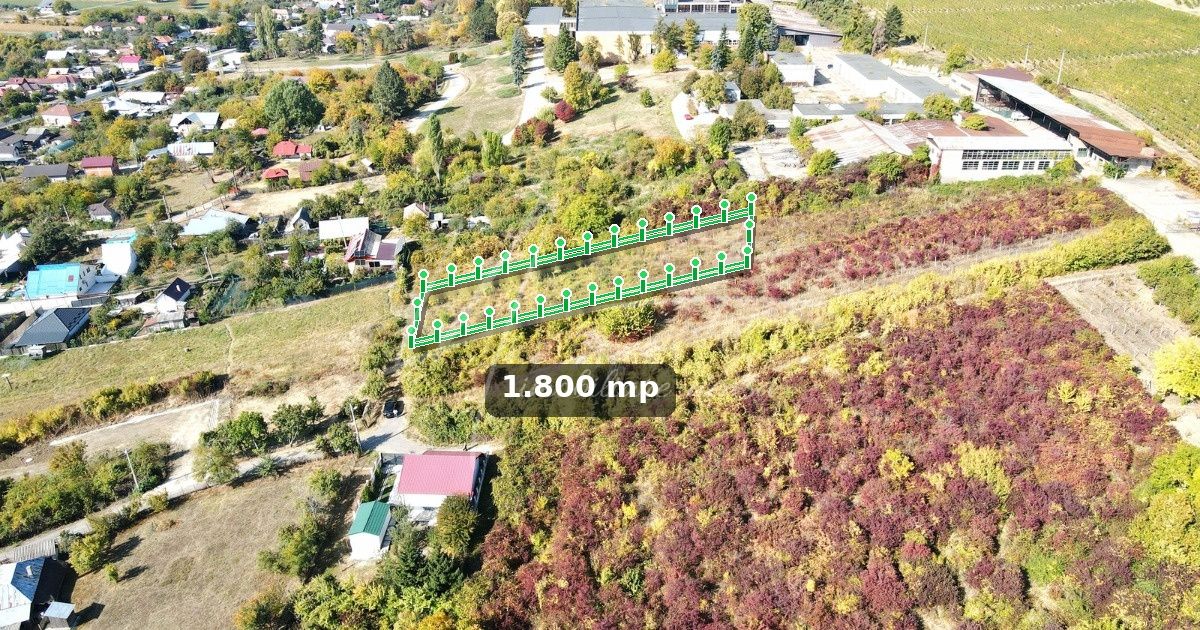 Teren intravilan de 1.800 mp, lângă cramă, Viișoara, Ștefănești, Argeș – fotografia 1 din 11