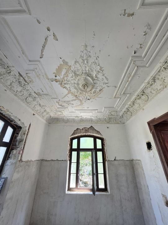 Ultracentral | 319SQM Historic Villa + 306sqm Land | Arh Ion Berindei – fotografia 6 din 7