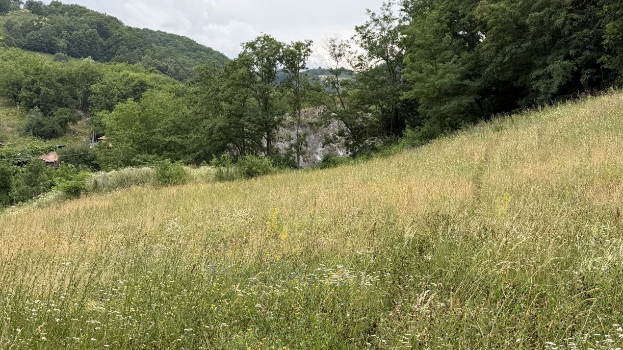 TEREN Intravilan 1800 mp Meteș deschidere 28 m Platou ideal Cabană View Superb – fotografia 1 din 4