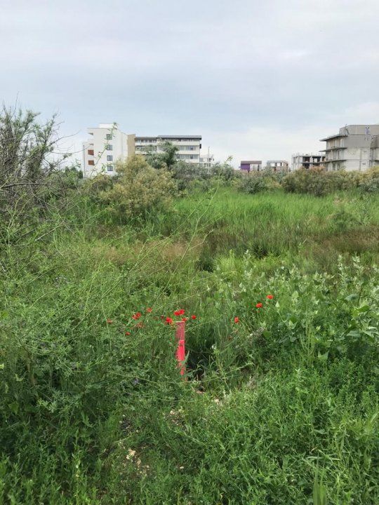 Teren Mamaia Nord | Club Nautic | Ideal pentru Investiție, aproape de Promenada – fotografia 1 din 10