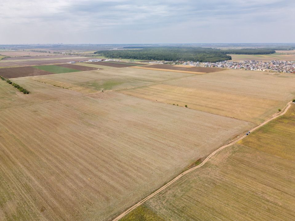 DASCALU - TEREN INTRAVILAN 7500 MP, INVESTITIE! – fotografia 6 din 17