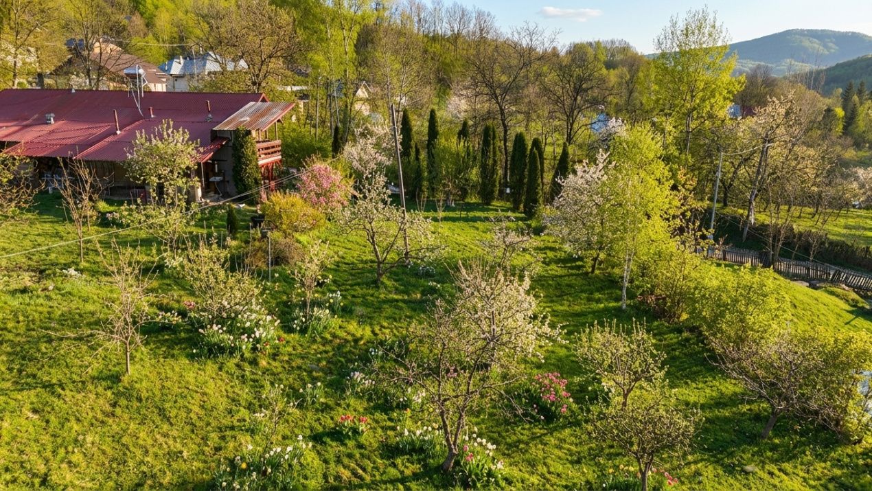 Teren intravilan Slanic Prahova – fotografia 6 din 6