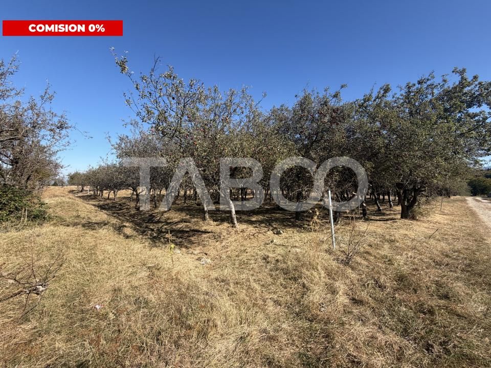 Teren intravilan 750 mp front stradal 17 m Statiunea Climaterica – fotografia 1 din 4