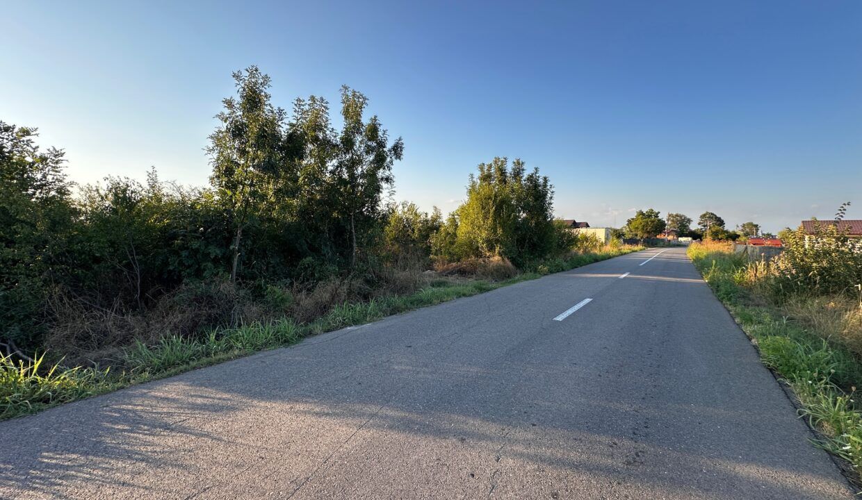 Teren 6700 mp Olteni, jud. Dâmbovița – la doar 900 m de Autostrada A1 (km 63) – fotografia 2 din 5