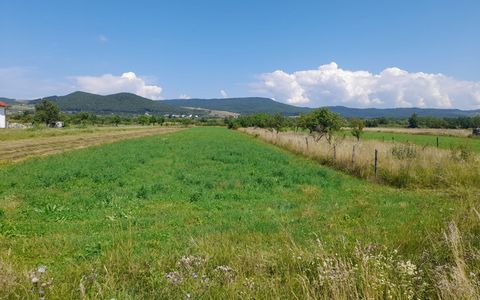 Teren 2997mp,INTRAVILAN,zona RUSU BARGAULUI