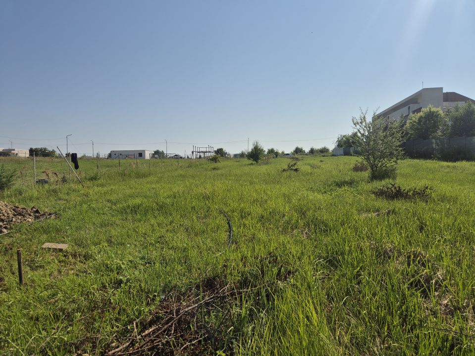 Izvorani - Teren cu deschidere generoasă la lacul Snagov – fotografia 8 din 9