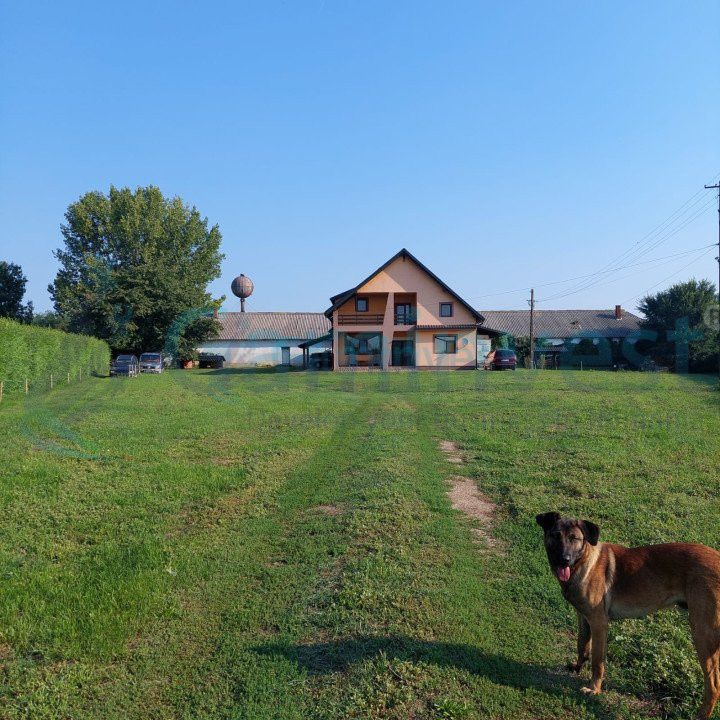Vilă și fosta fermă 8300 mp în Valea lui Mihai, Bihor – fotografia 2 din 10