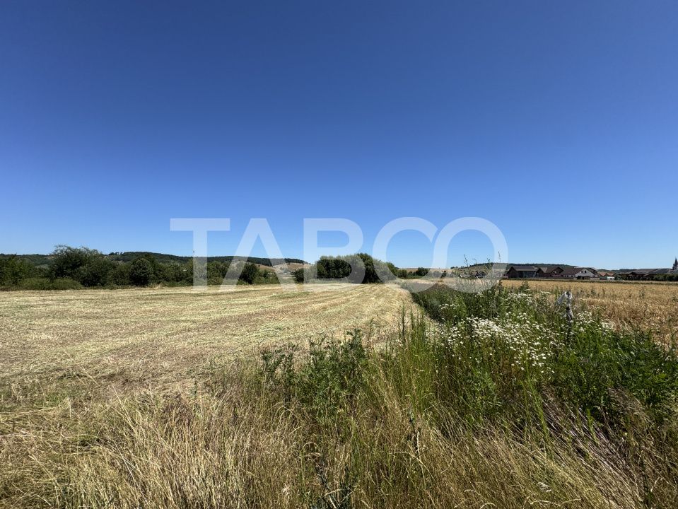 Teren intravilan 3752 mp parcelabil zona fostelor sere Cristian Sibiu – fotografia 3 din 6