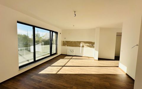 AP 3 CAMERE | DAMAROAIA | PETROM CITY | SCOALA GENESIS | STRAULESTI |