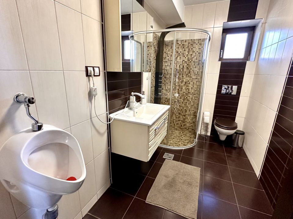 Casa Premium Alba Iulia I 5 camere I 3 bai I mobilata si utilata I teren 423 mp – fotografia 26 din 38