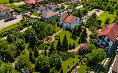 Oportunitate Rară în Ciorogârla– 8.000 mp Teren | Dublu Acces Asfaltat