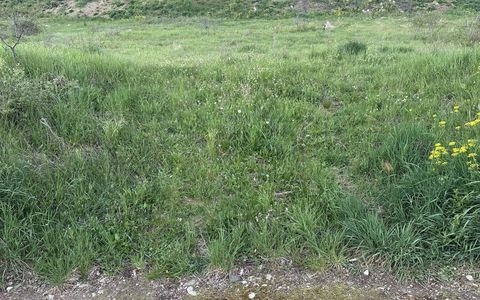 TEREN INTRAVILAN I 2900 MP I IDEAL PENTRU CONSTRUCTIE BLOCURI I P+ 3 I