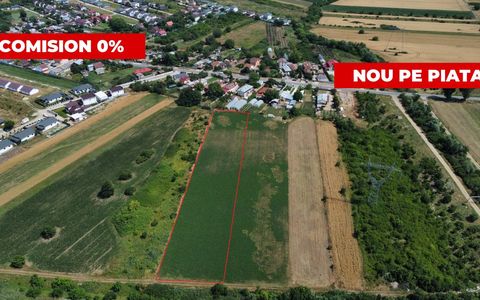 Teren Constructii Intravilan 4750mp SABARENI - 0% COMISION