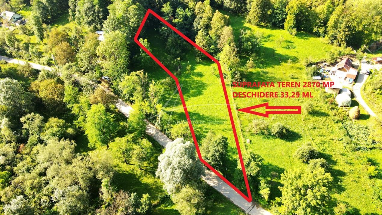 TEREN IN SUPRFATA DE 2870 MP IN PROVITA DE SUS VALEA BRADULUI JUD PRAHOVA – fotografia 11 din 16