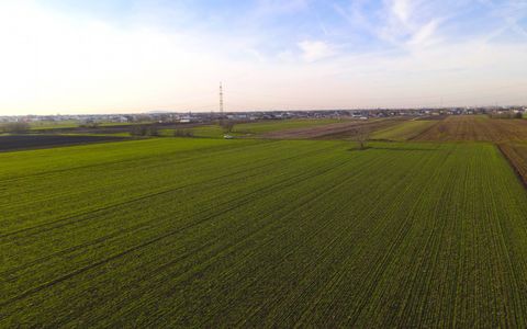Teren Investitional 1,24 ha Com Berceni | deschidere 42ml | #CG28