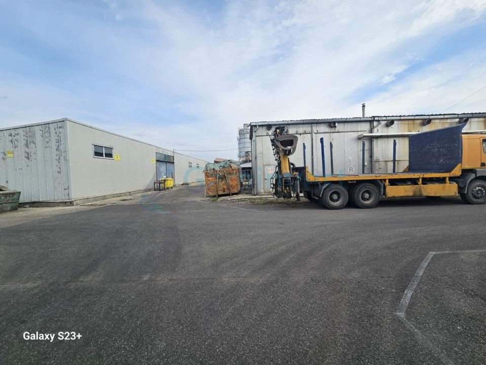 Oportunitate de investiție - Hale Industriale cu Randament ridicat in zona Borș – fotografia 3 din 19