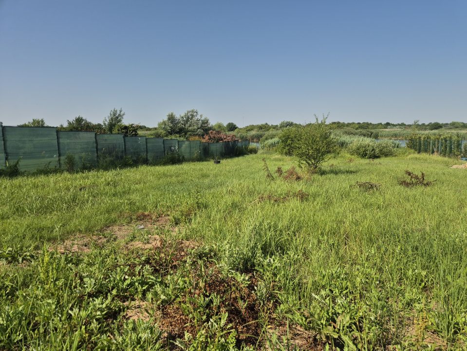 Izvorani - Teren cu deschidere generoasă la lacul Snagov – fotografia 5 din 9