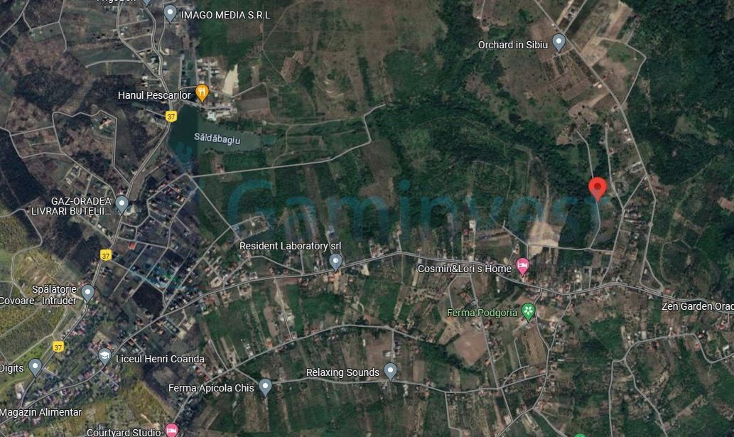 Teren intravilan de vanzare, la 1 min de str Gheorghe Doja, Saldabagiu de Munte – fotografia 2 din 5