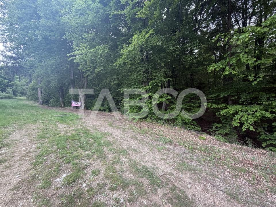 Teren intravilan 1000 mp front stradal 40 m langa Partia de Ski Dragus – fotografia 3 din 4