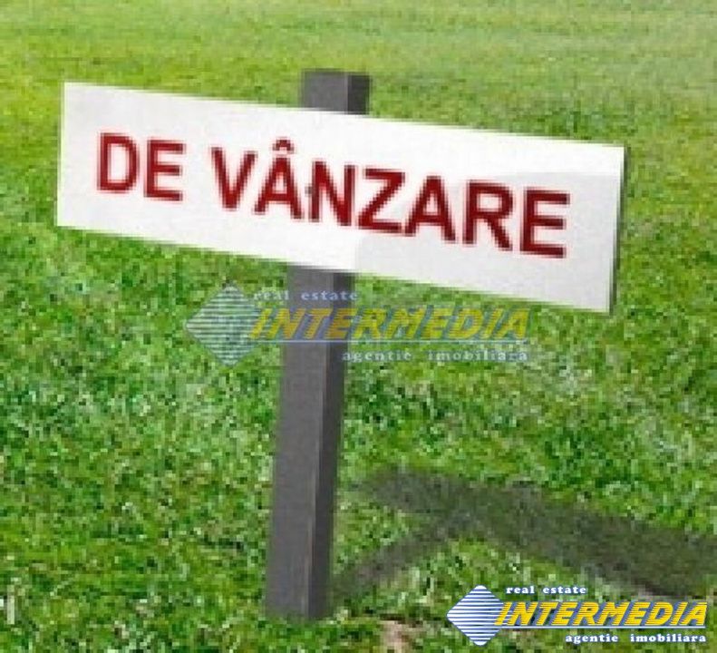 Teren de vanzare Sard langa Padure 10.000 - 50.000 mp. la 3 Euro/mp – fotografia 1 din 1