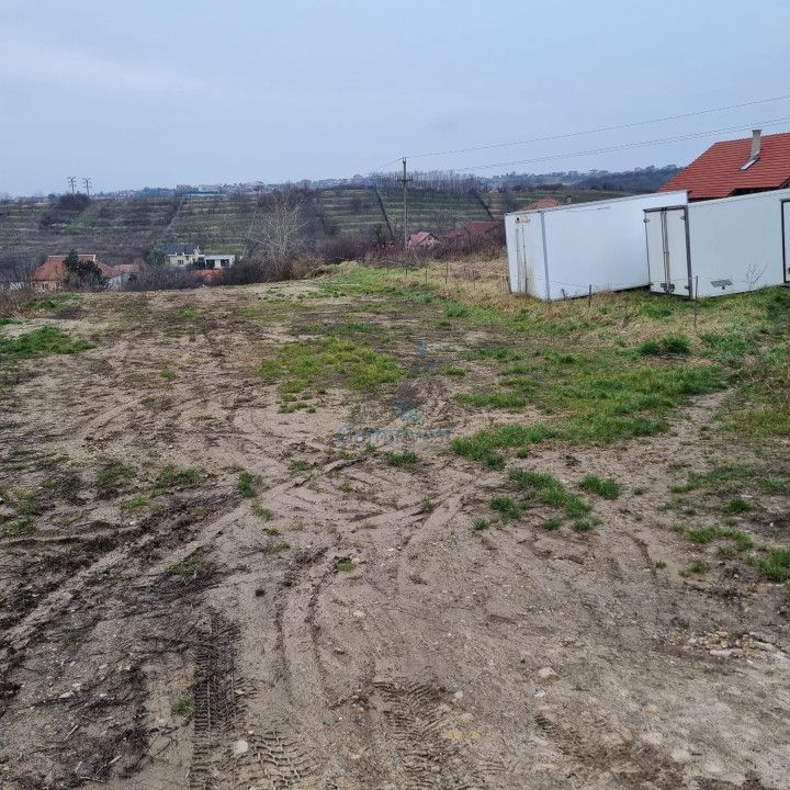 Vanzare Teren intravilan 3133 mp strada Sofiei, Oradea, Bihor - Exclusivitatate – fotografia 6 din 7