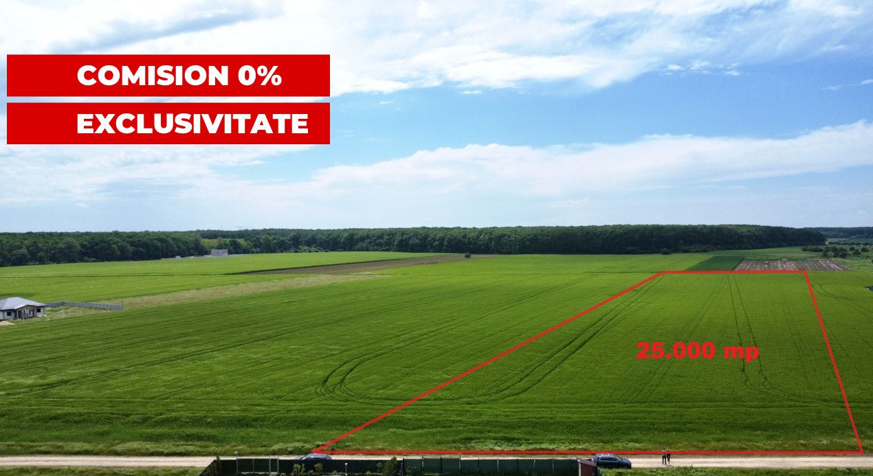 ✨OPORTUNITATE INVESTIȚIE:Teren intravilan 25.000mp Dascălu-Pădure, parcelabil✨ – fotografia 1 din 14