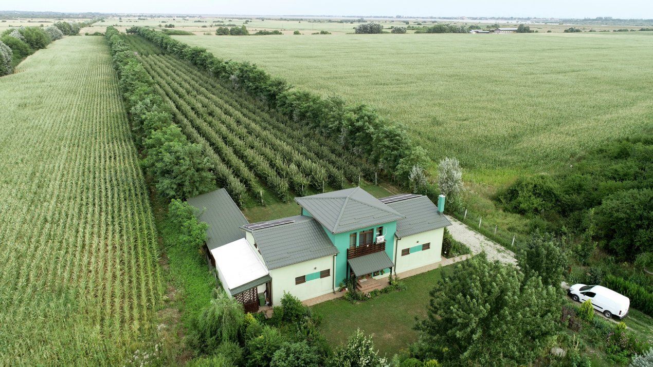 Vila + Afacere 15.000mp Clinceni – fotografia 3 din 31