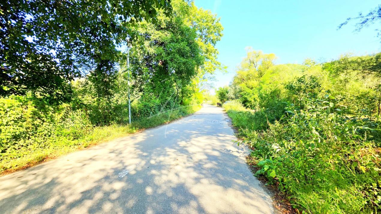 TEREN IN SUPRFATA DE 2870 MP IN PROVITA DE SUS VALEA BRADULUI JUD PRAHOVA – fotografia 5 din 16