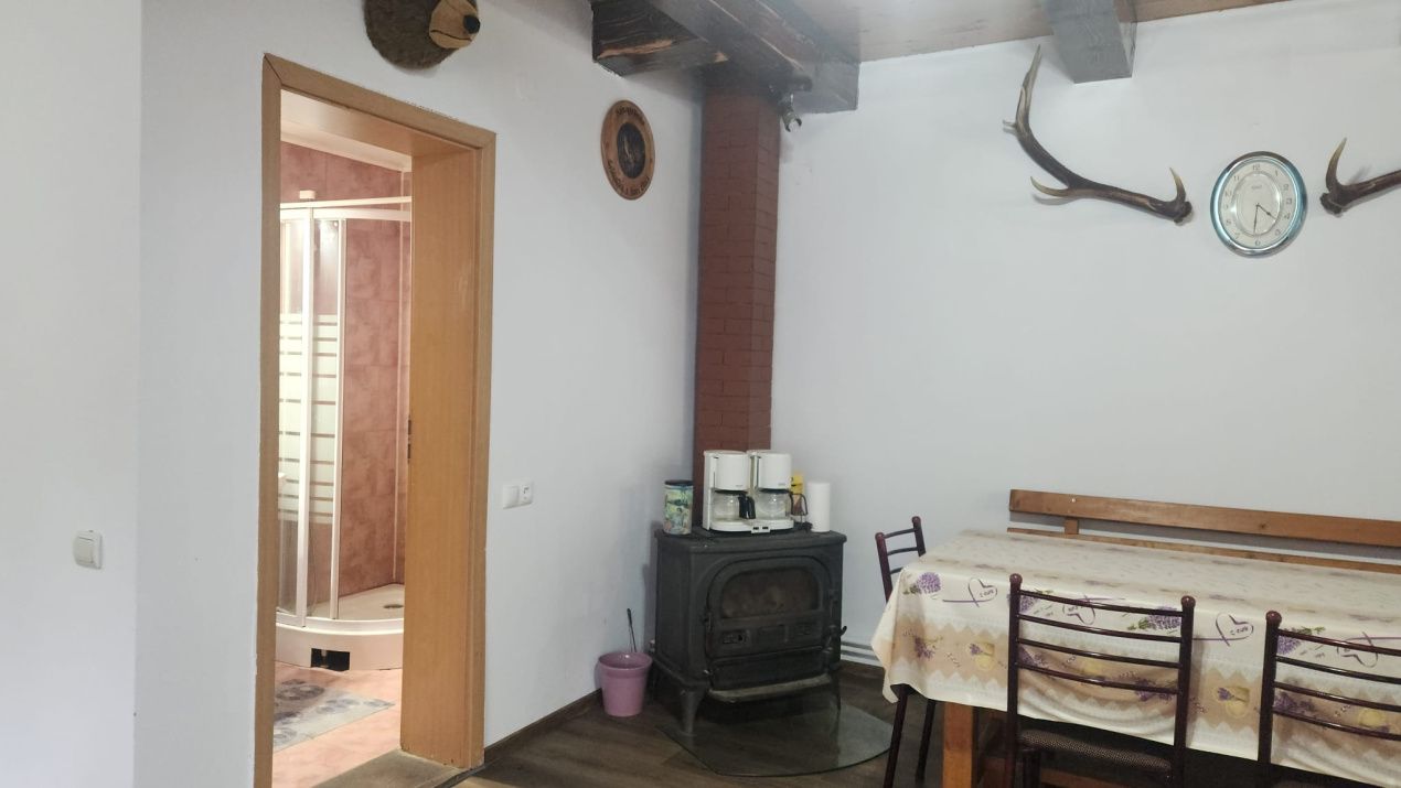 CASA DE VACANTA- VALEA AVRIGULUI-DE VANZARE – fotografia 8 din 9