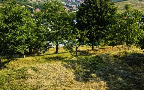 Teren in zona verde aproape de oras, zona Doja, Oradea