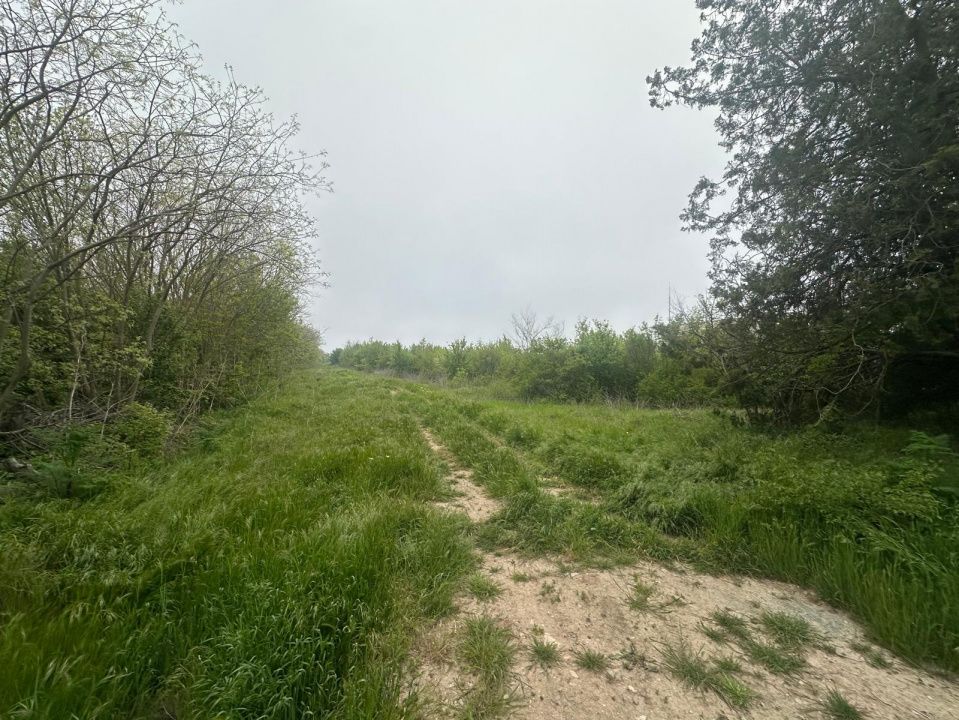 Investitie Litoral! Teren intravilan de vanzare | 46.000mp | Neptun – fotografia 4 din 24