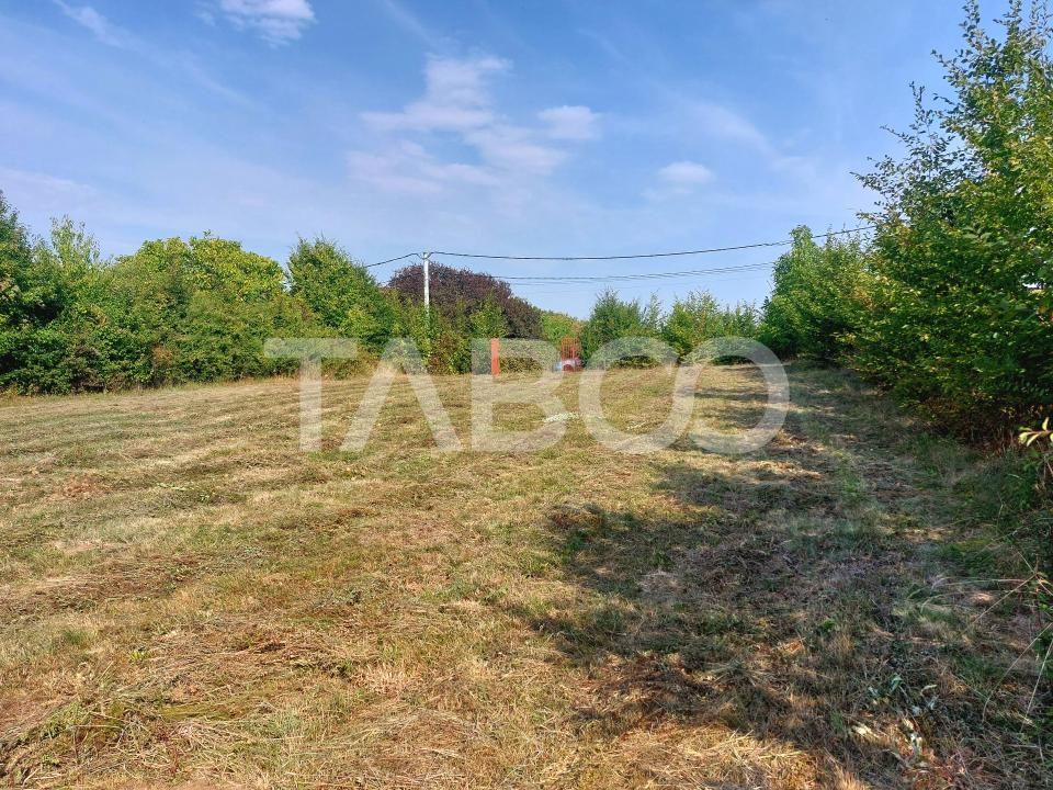 Teren intravilan 2079mp 2 fronturi PUZ curent apa langa parcela Tocile – fotografia 6 din 11