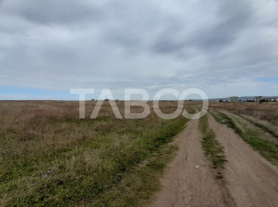 Teren intravilan 2 fronturi de 35 m fiecare 8.000 mp Turnisor Sibiu – fotografia 8 din 9