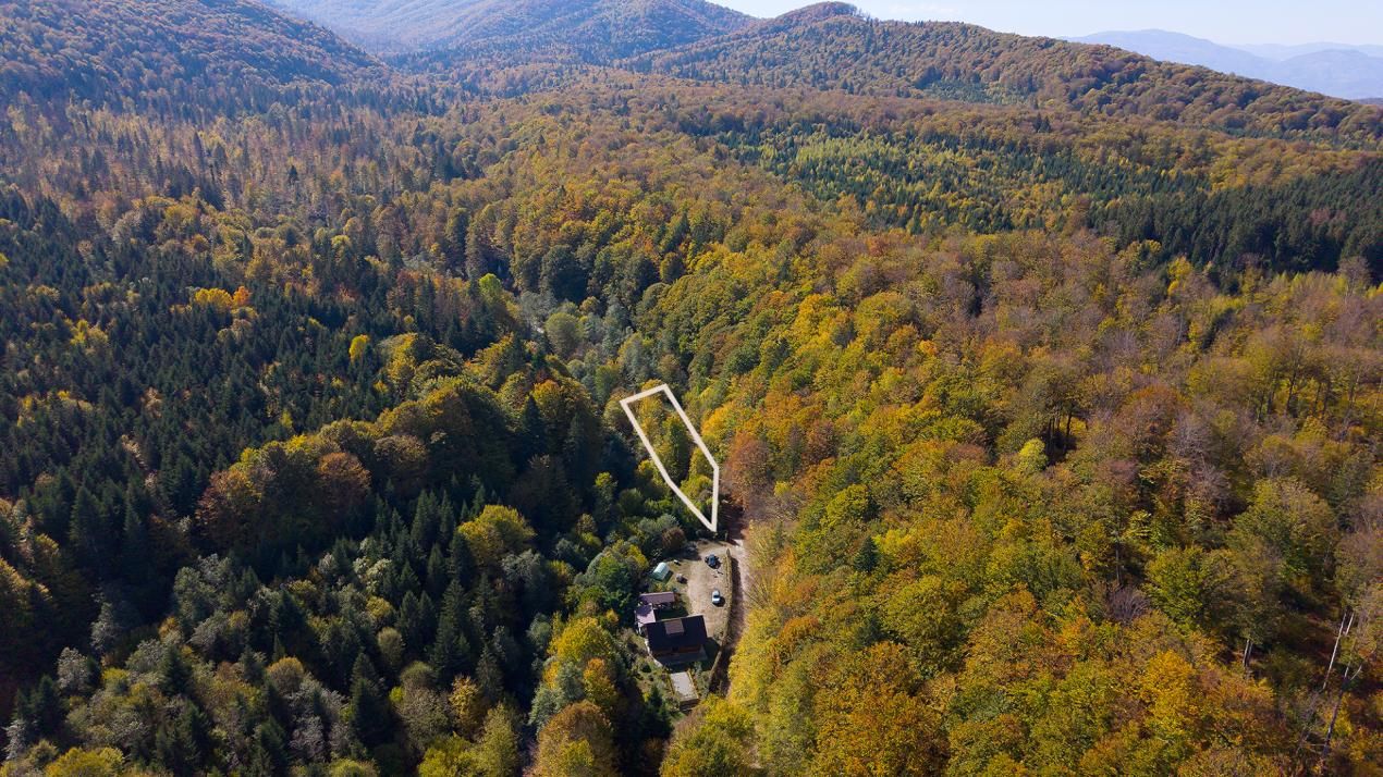Teren 2.000 mp în Valea Avrigului Pădure, apă curgătoare și liniște – fotografia 6 din 10